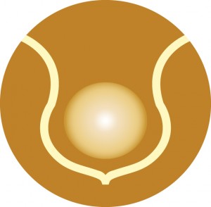 logo_icon